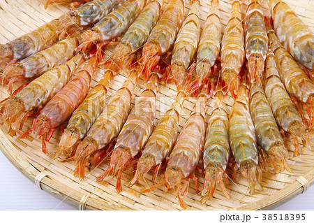 もさえび　食材 38518395