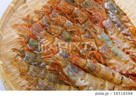 もさえび　食材 38518398