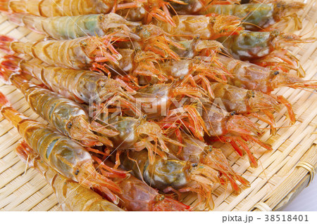 もさえび 食材 もさえび 食材 38518401