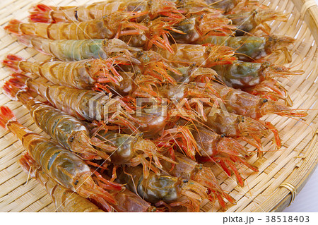 もさえび　食材 38518403