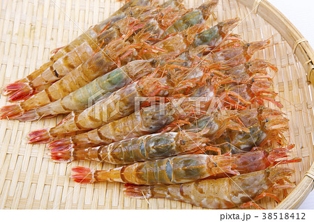 もさえび　食材 38518412