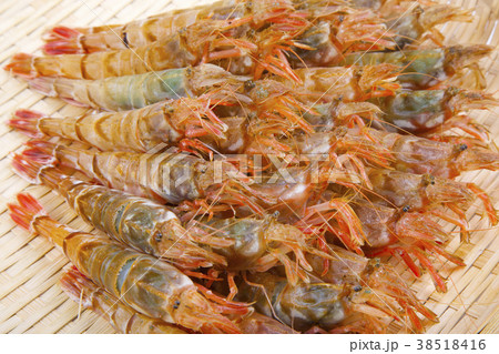 もさえび　食材 38518416