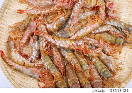 もさえび 食材 もさえび 食材 38518421