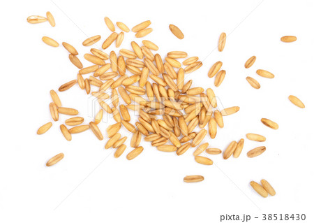 oat grains isolated on white background. Top view 38518430