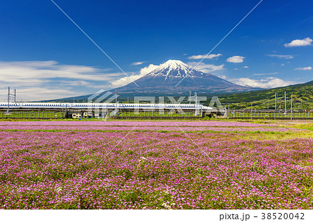 Shinkansen bullet train with Mt. Fuji Shinkansen bullet train with Mt. Fuji 38520042
