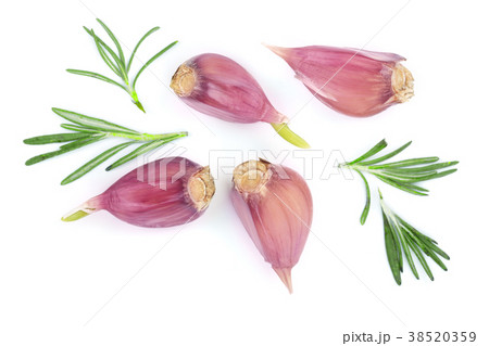 garlic with rosemary leaves isolated on white garlic with rosemary leaves isolated on white 38520359
