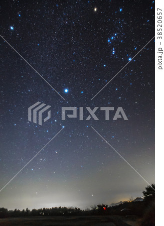 冬の大三角とカノープス 冬の大三角とカノープス 38520657