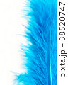 Close-up of Blue feather  isolated on white 38520747