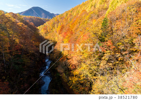 Nakatsugawa Fukushima Autumn Nakatsugawa Fukushima Autumn 38521780