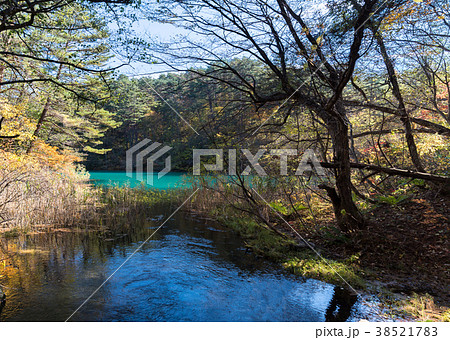 Goshiki-numa Urabandai Fukushima Autumn Japan Goshiki-numa Urabandai Fukushima Autumn Japan 38521783