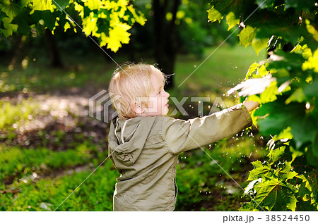 Portrait of cute happy little boy having fun in summer park after rain Portrait of cute happy little boy having fun in summer park after rain 38524450