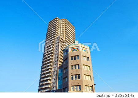 エイペックスタワー浦和(さいたま市浦和区) エイペックスタワー浦和(さいたま市浦和区) 38525148