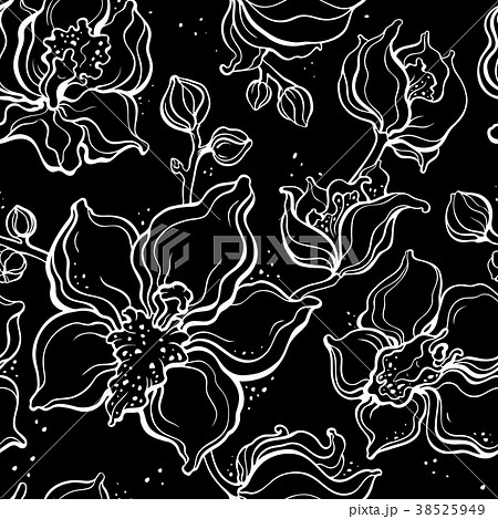 Floral pattern with Orchids. Hand drawn 38525949