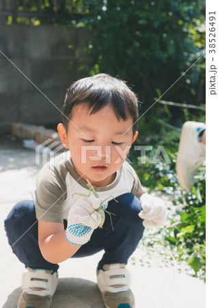 4 years old 4 years old 38526491