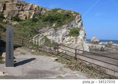 千葉県銚子・犬吠埼の海岸 38527039