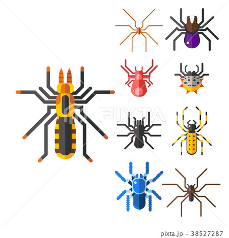 Spider web silhouette arachnid fear graphic flat 38527287