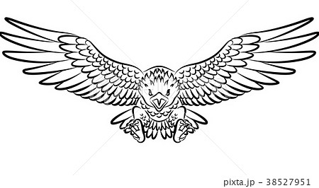 Tribal Eagle Tattoo Isolated On White Backgroundのイラスト素材