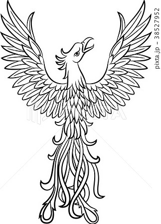 Phoenix tattoo isolated on white background 38527952