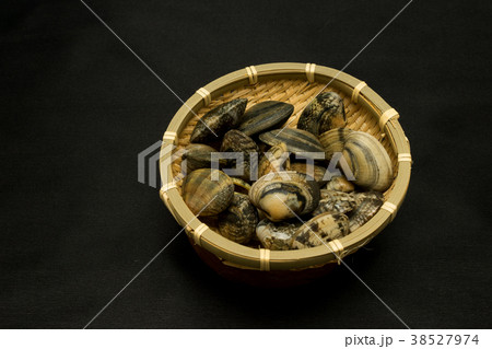 アサリ 黒背景 アサリ 黒背景 38527974