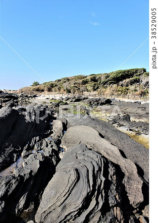 三浦半島天神島の海岸 38529005
