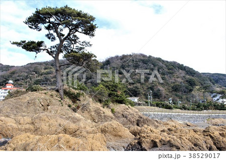 三浦半島・秋谷海岸(見晴らし台) 三浦半島・秋谷海岸(見晴らし台) 38529017