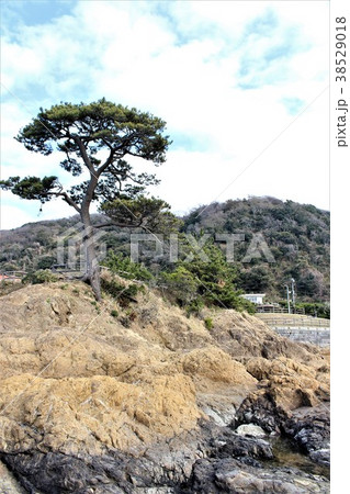 三浦半島・秋谷海岸(見晴らし台) 三浦半島・秋谷海岸(見晴らし台) 38529018
