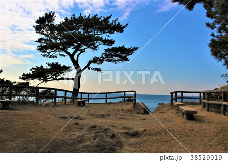 三浦半島・秋谷海岸(見晴らし台) 三浦半島・秋谷海岸(見晴らし台) 38529019