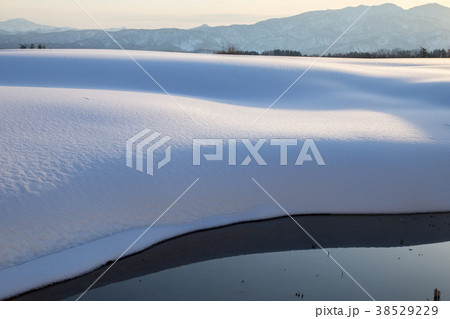 新潟県長岡市 朝焼けにうっすらと染まる滑らかな新雪の風景 新潟県長岡市 朝焼けにうっすらと染まる滑らかな新雪の風景 38529229