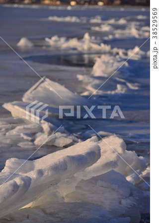 諏訪湖の神渡り 諏訪湖の神渡り 38529569
