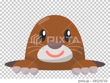 A mole A mole 38529710