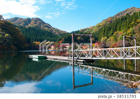 碓氷湖の紅葉 碓氷湖の紅葉 38531705