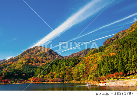 碓氷湖の山と紅葉 碓氷湖の山と紅葉 38531797