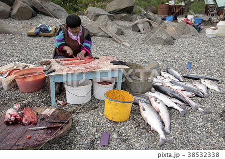 Chukchi woman preparing salmon 38532338