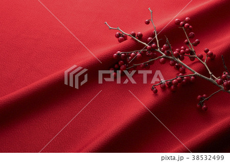 赤い縮緬と梅擬 赤い縮緬と梅擬 38532499