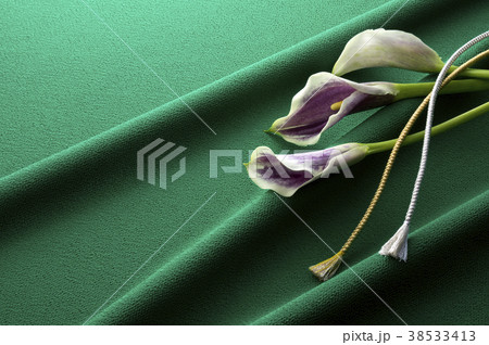 緑色の縮緬と紫色のカラーと組紐の写真素材