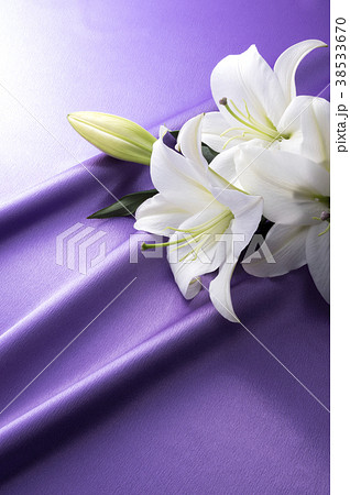 紫色のサテンと白いユリ 38533670