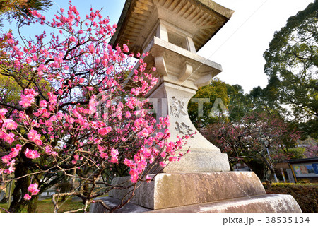 太宰府天満宮　灯籠　学問の神様　合格祈願　受験祈願 38535134