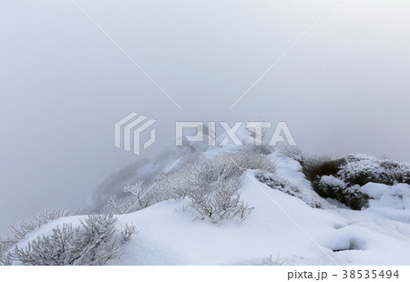 九重連山 くじゅう山 霧氷 九重連山 くじゅう山 霧氷 38535494