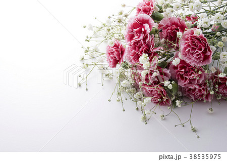 カーネーションの花束の写真素材