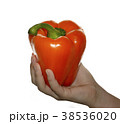 hand holding  orange 38536020