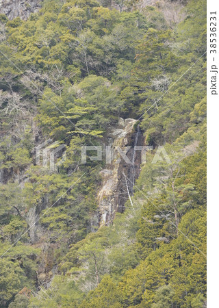 三重県 熊野市 大丹倉の断崖の写真素材