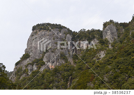 【三重県　熊野市】大丹倉の断崖 38536237