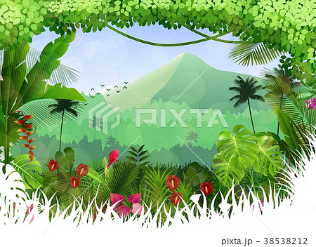 Tropical background beautiful Tropical background beautiful 38538212