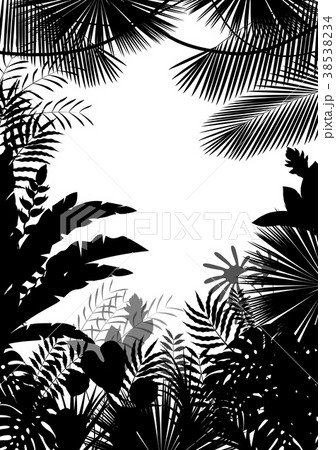 Exotic tropical background of silhouette Exotic tropical background of silhouette 38538234