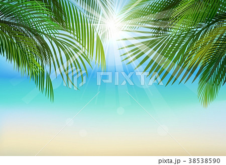 Palm leaf background on blue sky and sunbeams.Summ 38538590