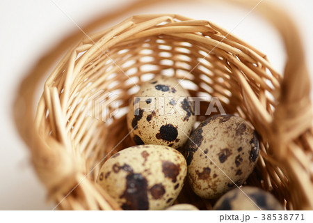うずら　ウズラ　鶉　うずらの卵　ウズラの卵　鶉の卵　卵　たまご　複数　食材 38538771