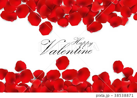 Red rose petals on a white background 38538871