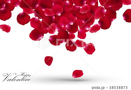 Valentines day with rose petals on white backgroun 38538873