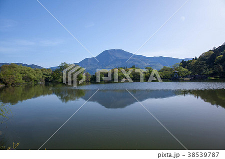 初夏の伊吹山と三島池9 初夏の伊吹山と三島池9 38539787