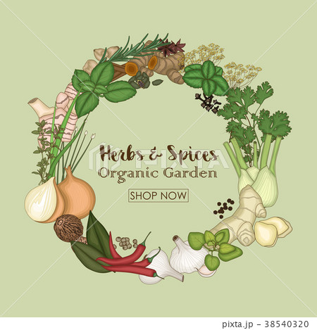Circle wreath template with spices and herbs 38540320